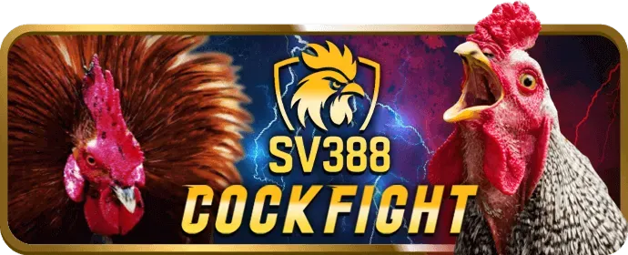 Tìm hiểu điều khoản 33win4